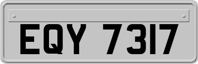 EQY7317