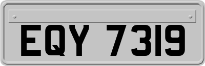 EQY7319