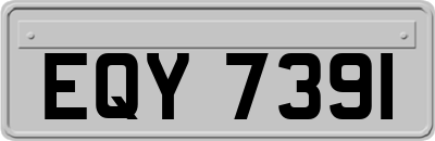 EQY7391