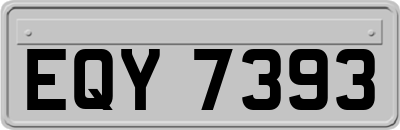 EQY7393
