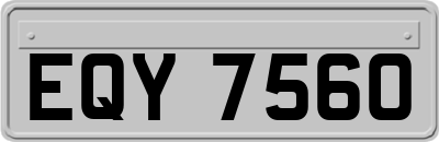 EQY7560