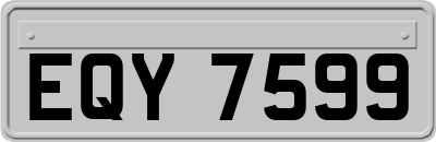 EQY7599