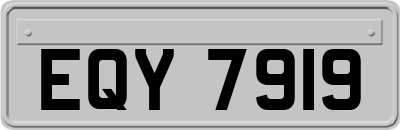 EQY7919