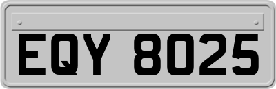 EQY8025