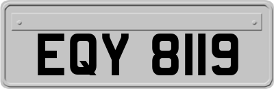 EQY8119