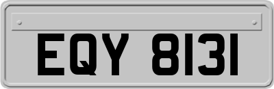 EQY8131