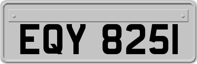 EQY8251