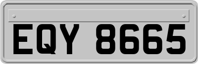 EQY8665