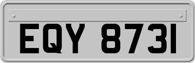 EQY8731