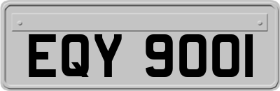 EQY9001