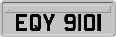 EQY9101