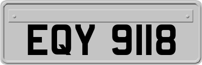 EQY9118