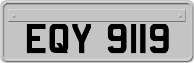 EQY9119