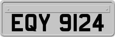 EQY9124