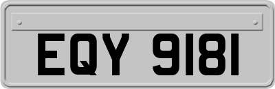 EQY9181