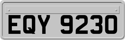 EQY9230