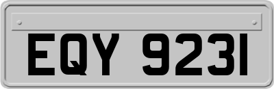 EQY9231