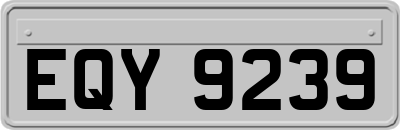 EQY9239
