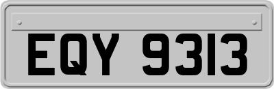 EQY9313