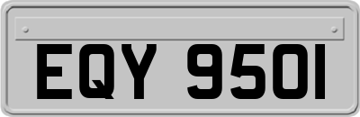 EQY9501