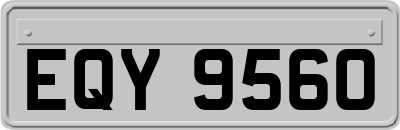 EQY9560