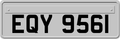EQY9561