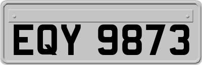 EQY9873