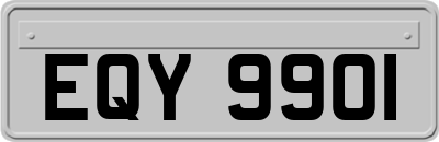 EQY9901