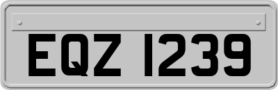 EQZ1239