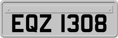 EQZ1308