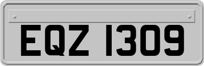 EQZ1309