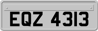 EQZ4313