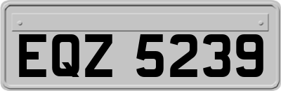 EQZ5239