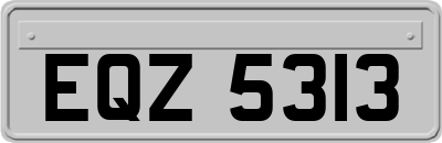 EQZ5313