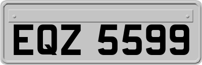 EQZ5599