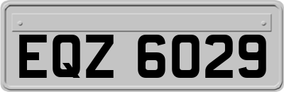 EQZ6029