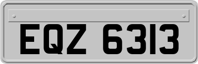 EQZ6313