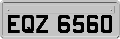 EQZ6560