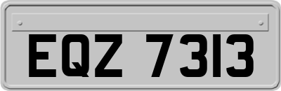 EQZ7313