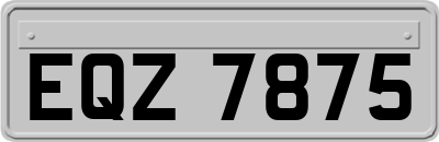 EQZ7875
