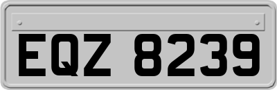 EQZ8239