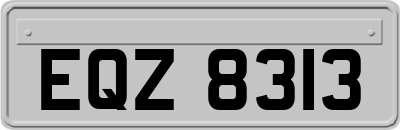 EQZ8313