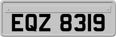 EQZ8319