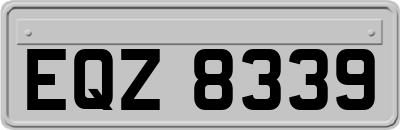 EQZ8339