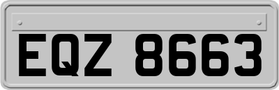 EQZ8663