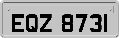 EQZ8731