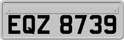 EQZ8739