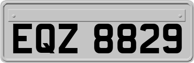 EQZ8829
