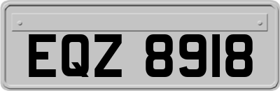 EQZ8918