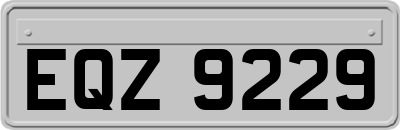 EQZ9229